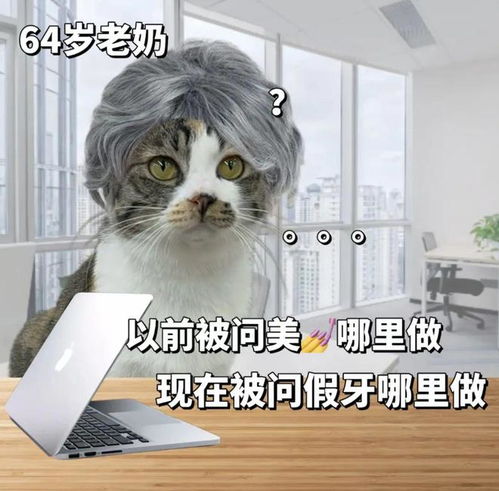 65岁退休不这正是拼事业的年纪