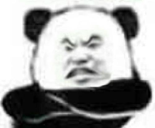 最新超可爱熊猫头热门表情包