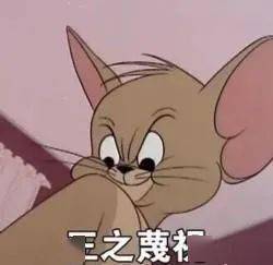 她可真敢怼啊