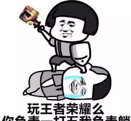 斗图表情包不要吵,让我静静的玩王者荣耀