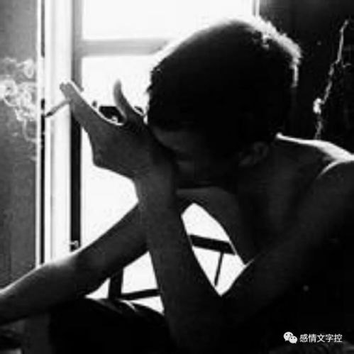 无标题