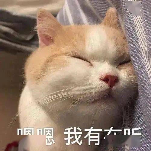 沙雕聊天表情包i我搓了我真的搓了