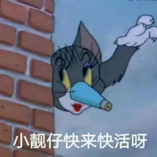 熟悉猫和老鼠的表情图,知道他们背后的故事吗真相往往残酷