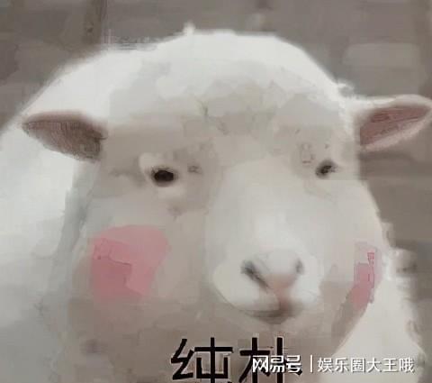 孙一宁和王思聪聊天表情包来咯,奉上原图,超级实用