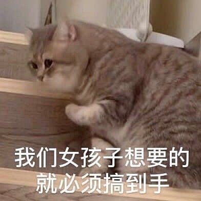 有人知道海底捞的猪肚鸡汤底调料包是什么吗