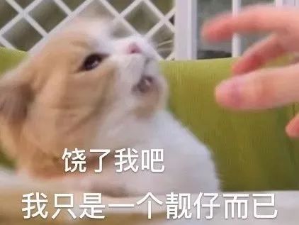 今日除夕丨缓存新年的温柔与可爱内附福气满满的的拜年视频