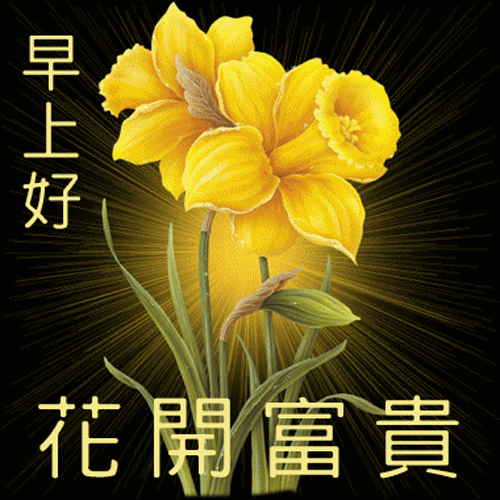 早上好祝福语表情包早上好问候语带动态图片