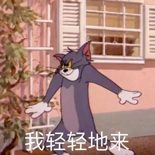 搞笑表情包你太忙的话,就把我晾在一边