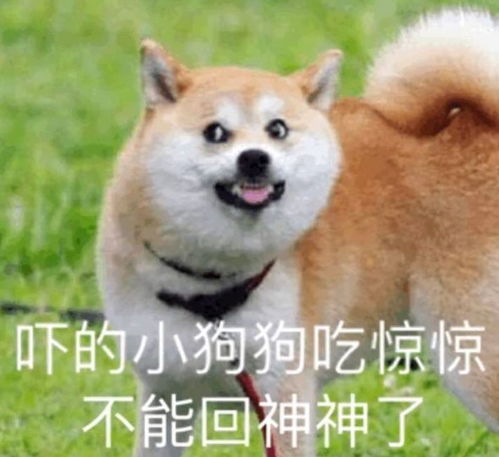 推送千万条,点进这一条开学不规划,期末两行泪发动机