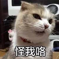 表情包搞笑头像柠檬