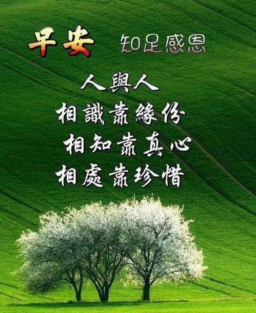 朋友圈早上好祝福语图片11月微信新版早晨好表情大全