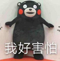 看完这个国家集体迷上的表情包,我不厚道地笑了