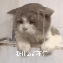 你不要我和孩子了吗表情包我给大家开个空调表情包下载乐游网游戏下载