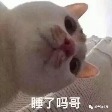 朋友圈搞笑文案我可真是个败家子,上亿的资产一醒就没了