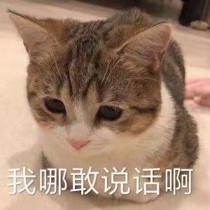 可爱搞笑表情包