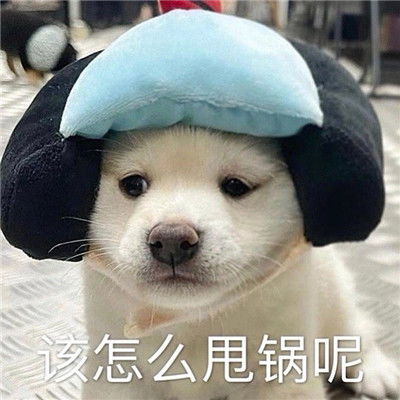 很搞笑的又很热门的微信表情合集很有趣味的笑死人的表情包