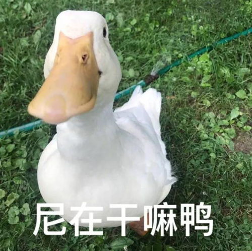 上门办,免费办