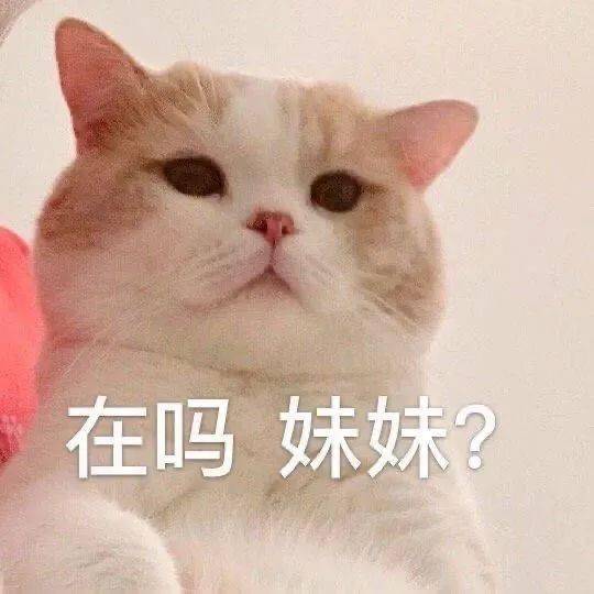 表情包哥哥我上钩了,快拉我
