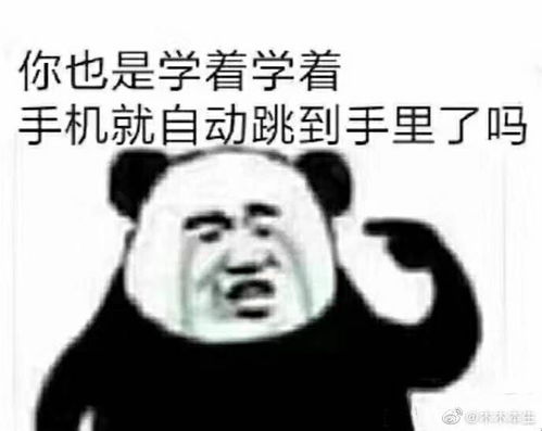 搞笑考试复习法,你学会了吗