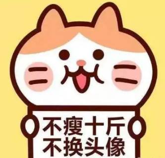 用这些微信头像的人,99颜值非常高