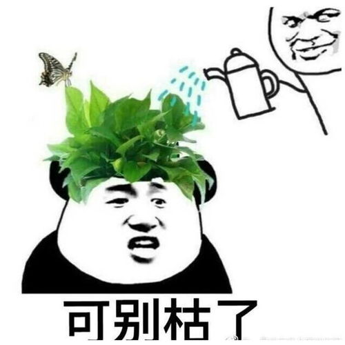 怼人表情包