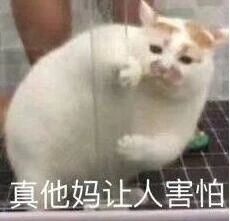 沙雕表情包图片强颜欢笑蠢蠢欲睡