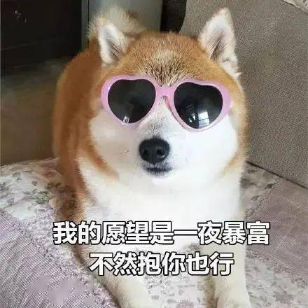 今日愿望想要一夜抱富丨第180期喵表情