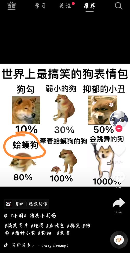 原来狗蛙也叫蛤蟆狗