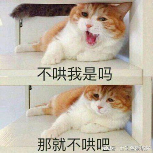搞笑,我看塑料袋装不下了,就喝了一口,然后他们就吐啦