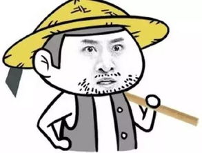 我的假专业遇上了假亲戚