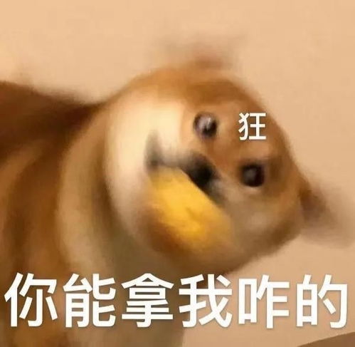 忍不住想笑的可爱文案