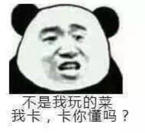 沙雕表情包我们美女不懂这些的