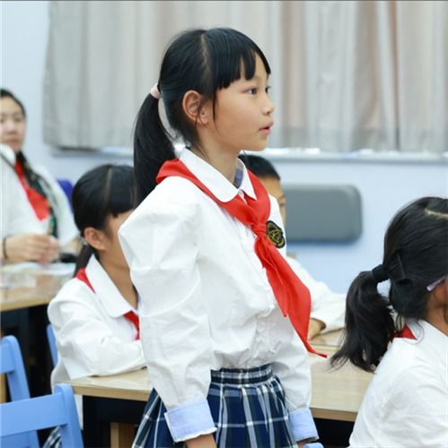 唐镇小学领巾奖章三十载浦东少年筑华章2024年浦东新区少先队庆六一主题活动在学校顺利举行