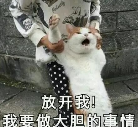 放假通知来啦紧急提醒开平最低降温至5