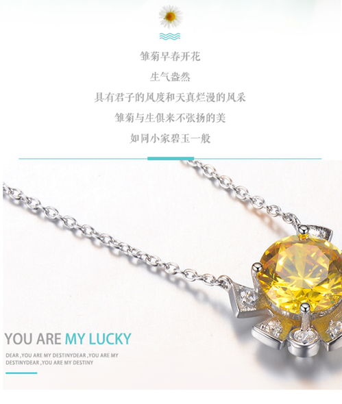 品廷原创美满雏菊礼物项链韩版时尚纯银锁骨链仙气生日送女友森系