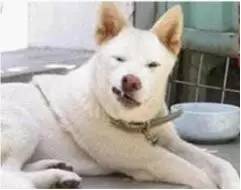 表情包演绎房地产人百态,太形象了