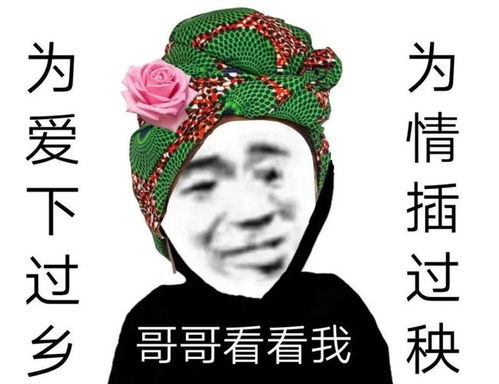 点赞99万的沙雕朋友圈文案0.8