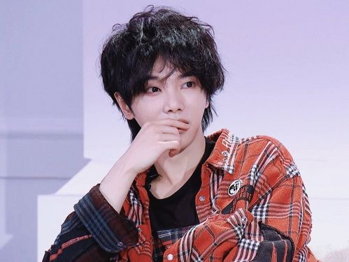 华晨宇新发色曝光,粉色鲻鱼头帅出新高度,仿佛动漫里的美男子