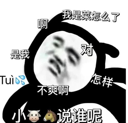 邀请游戏搭子打游戏的大病搞笑文案表情包