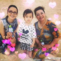母亲节特辑王菲小s和杨幂三种画风完全不同的星妈