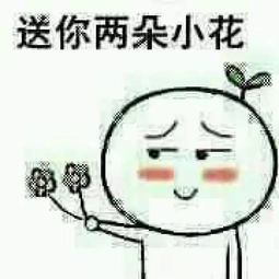 这群大学生暑假不回家,反而齐聚杭州,还引得金砖国家的外宾们纷纷点赞