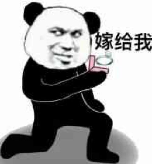 沙雕表情包l我人傻了都