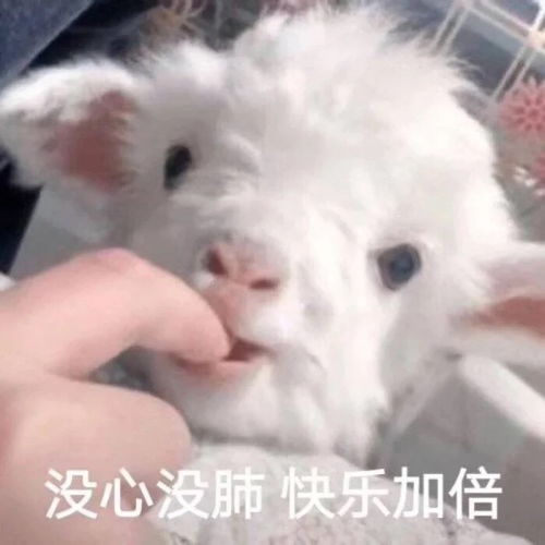 南方本土奶有安利的吗