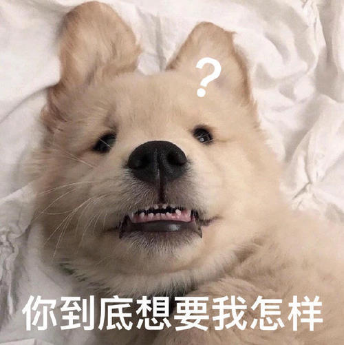 每日一笑公主吃了毒苹果后病倒了,你是怎么救她的