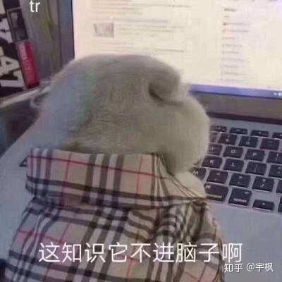 目前高二即将升高三,想在家休学一个学期自学