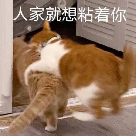 表情包搞笑沙雕图片图灵机