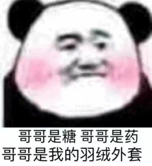 搞笑斗图表情包好可爱,不愧是我喜欢的人