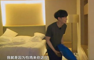 朱正廷被道具老鼠吓到跌倒,看鬼片看睡着的陈立农竟然被它吓成表情包