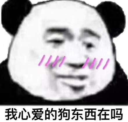 当知道自己掏心掏肺流血流泪爱的人并不爱你