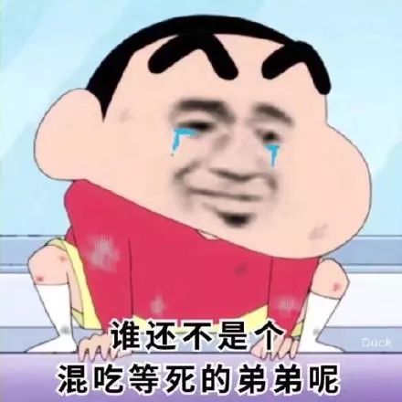 蜡笔小新搞笑表情包肥宅的快乐你懂个p